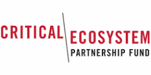 CEPF