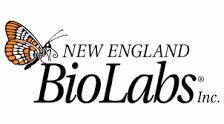 new england biolabs logo
